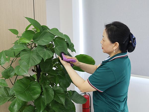 你真的了解保潔嗎？